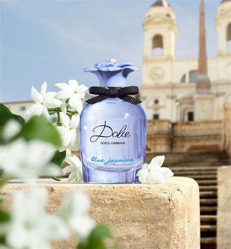 dolce gabbana blue prezzo|dolce and gabanna blue jasmine.